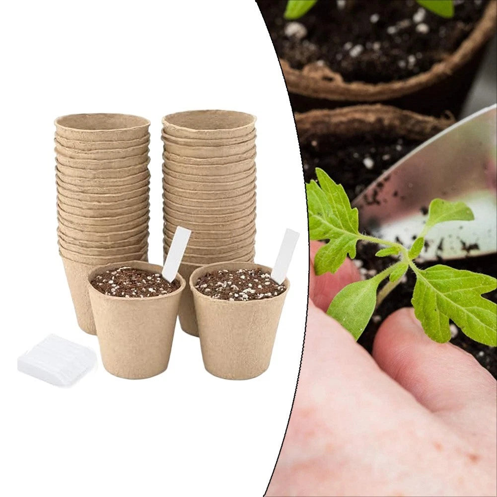 Biodegradable Flower Pots for Garden Enthusiasts