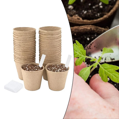 Biodegradable Flower Pots for Garden Enthusiasts