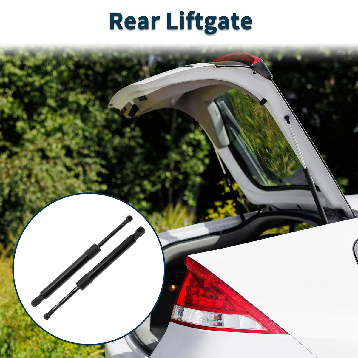 Rear Hatch Lift Supports Replacement for Volkswagen Jetta Sedan (2005–2010)