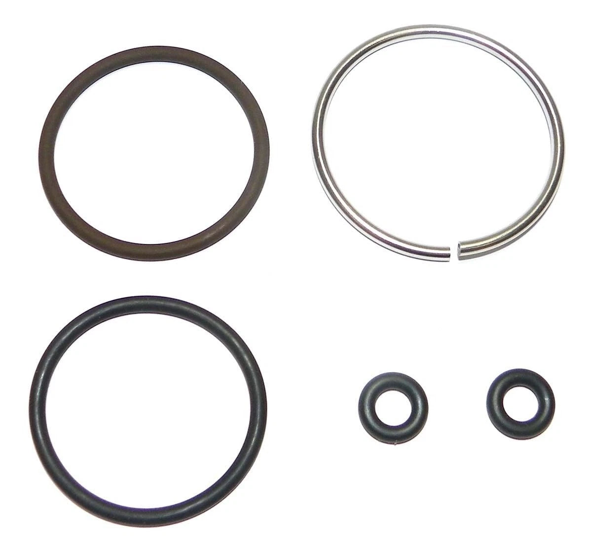 Fuel Injector Repair Kit for Johnson/Evinrude 40-300 Hp E-Tec (600-160, 5005803)
