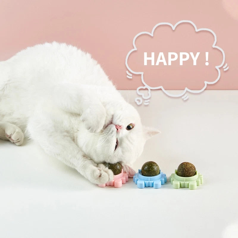 Catnip Ball Toy for Cats (Natural)
