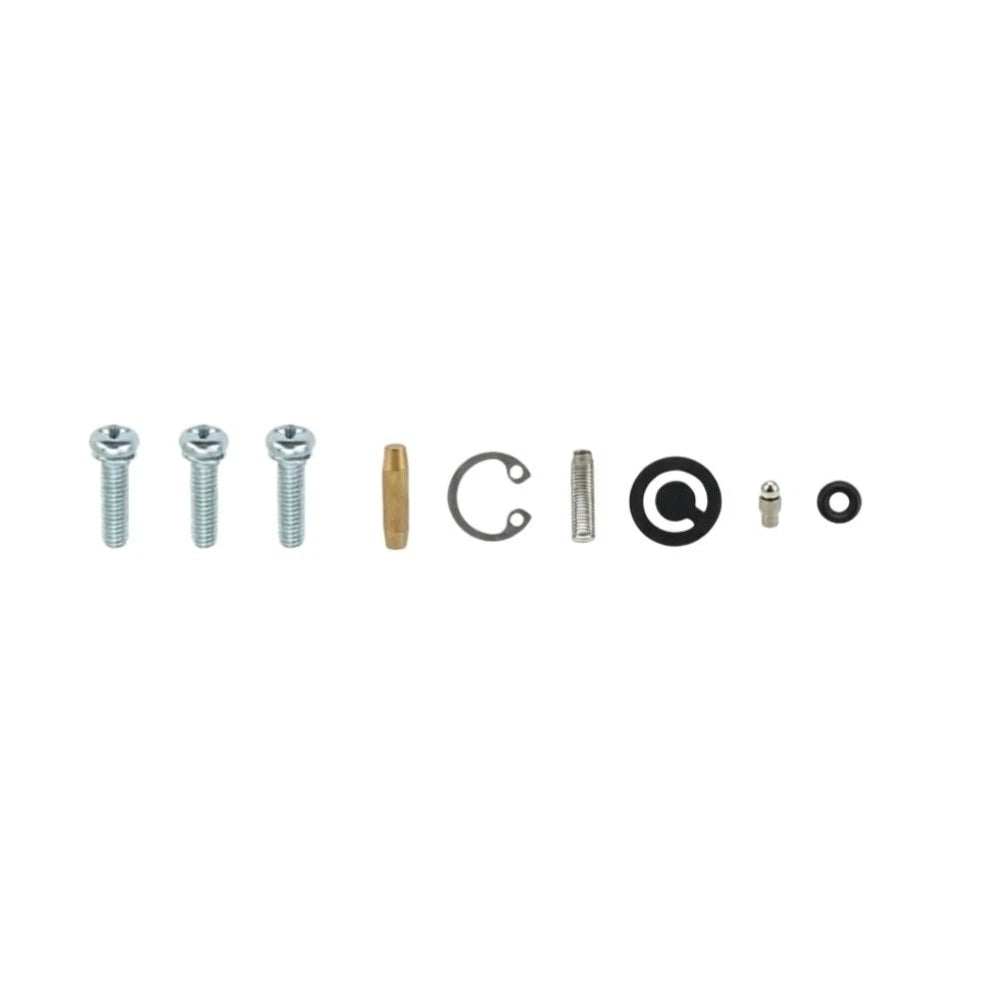 Carburetor Repair Kit for