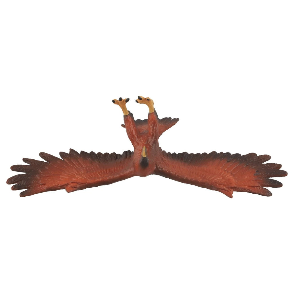 Simulation Animal Model Educational Tool - Realistic Shape, Tear-Resistant