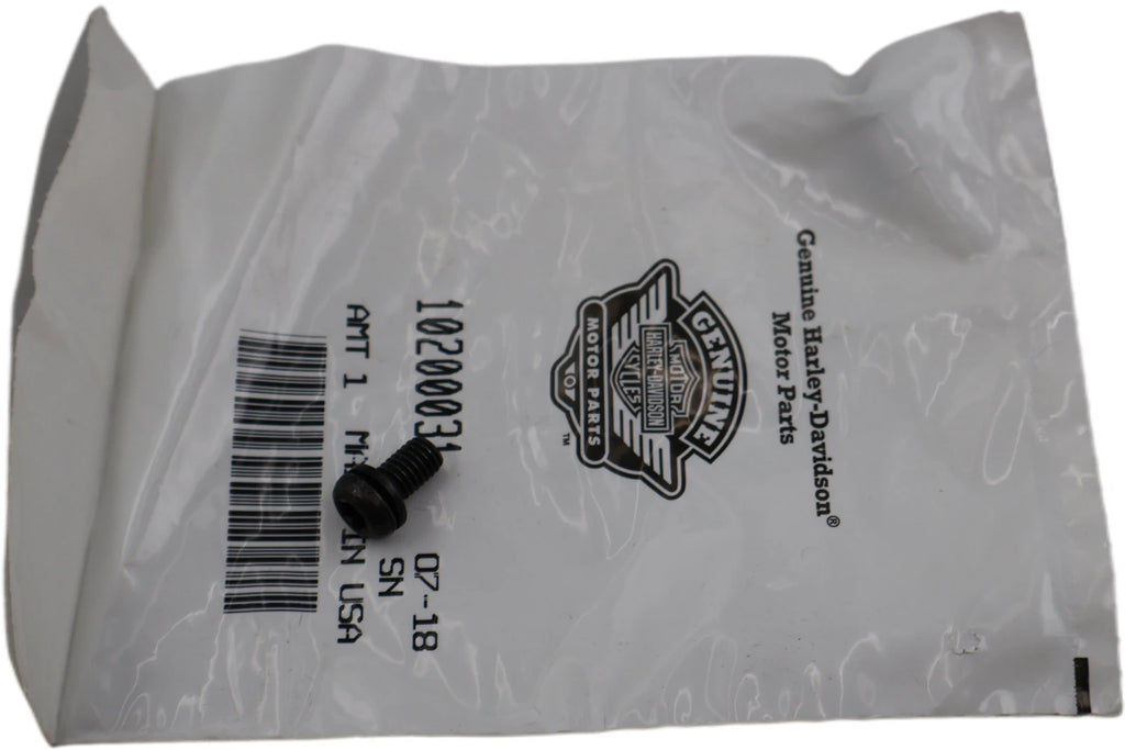 HCU Bracket Screw for Harley-Davidson FXD Dyna (2012–2017) 10200031
