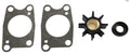 Outboard Water Pump Service Kit 06192-ZV1-C00 for Honda 4-6 HP (4-Stroke)