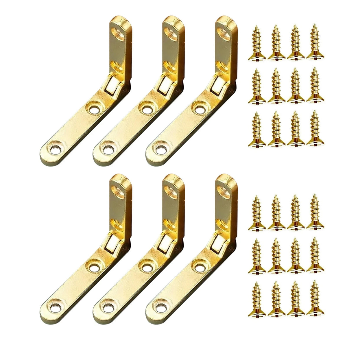 6Pcs Small Hinges with Screws for Jewelry Boxes