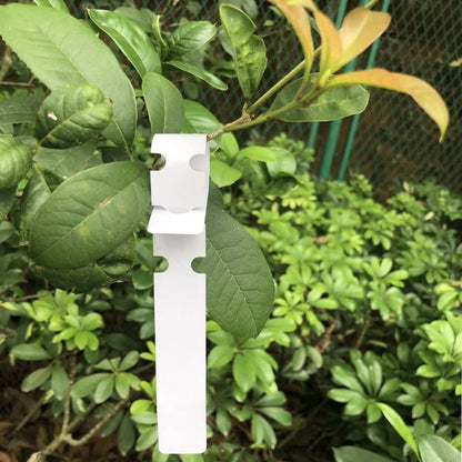 Waterproof Garden Hanging Labels for Plant Tagging
