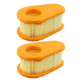 2 Air Filter Elements 792038 for BS Engines