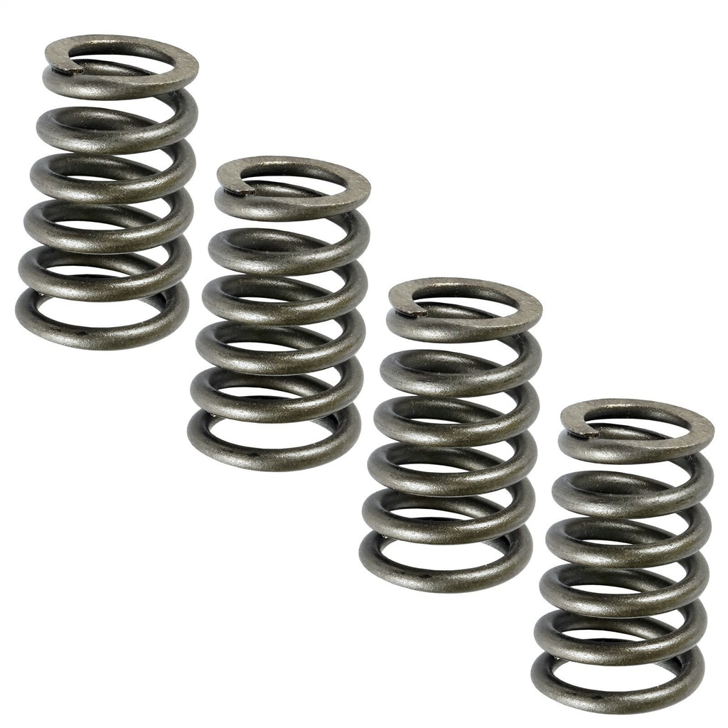 Valve Springs Set for CanAm Defender HD10 6X6 DPS (2021–2021)