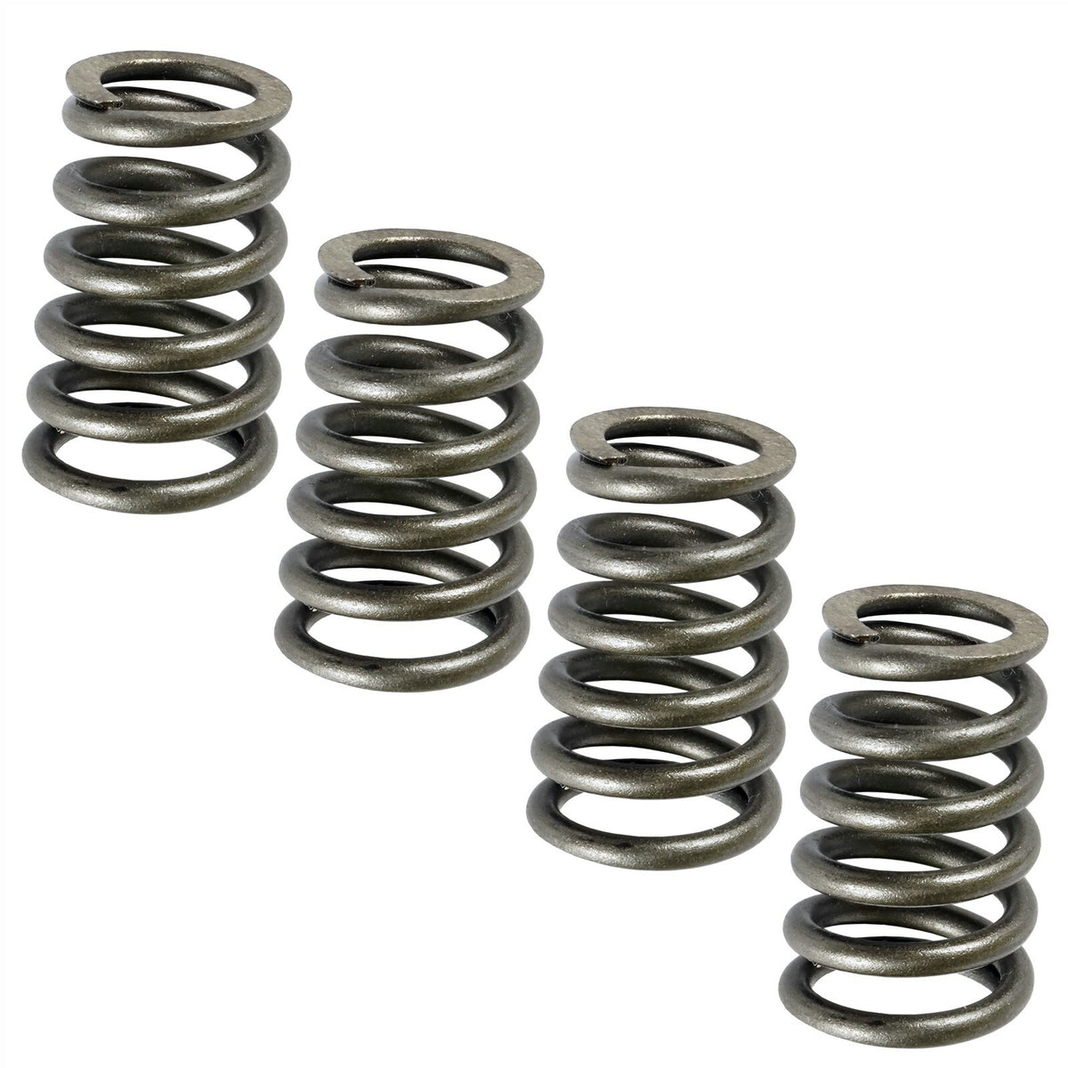 Valve Springs Set for CanAm Defender HD10 6X6 DPS (2021–2021)