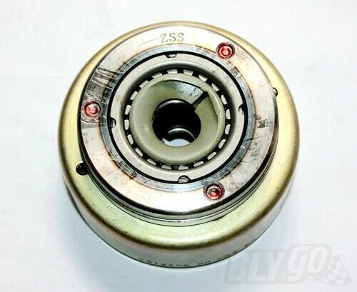 8 Poles Magneto Stator Roller Flywheel for 250cc Engine ATV (PIT Trail Quad)