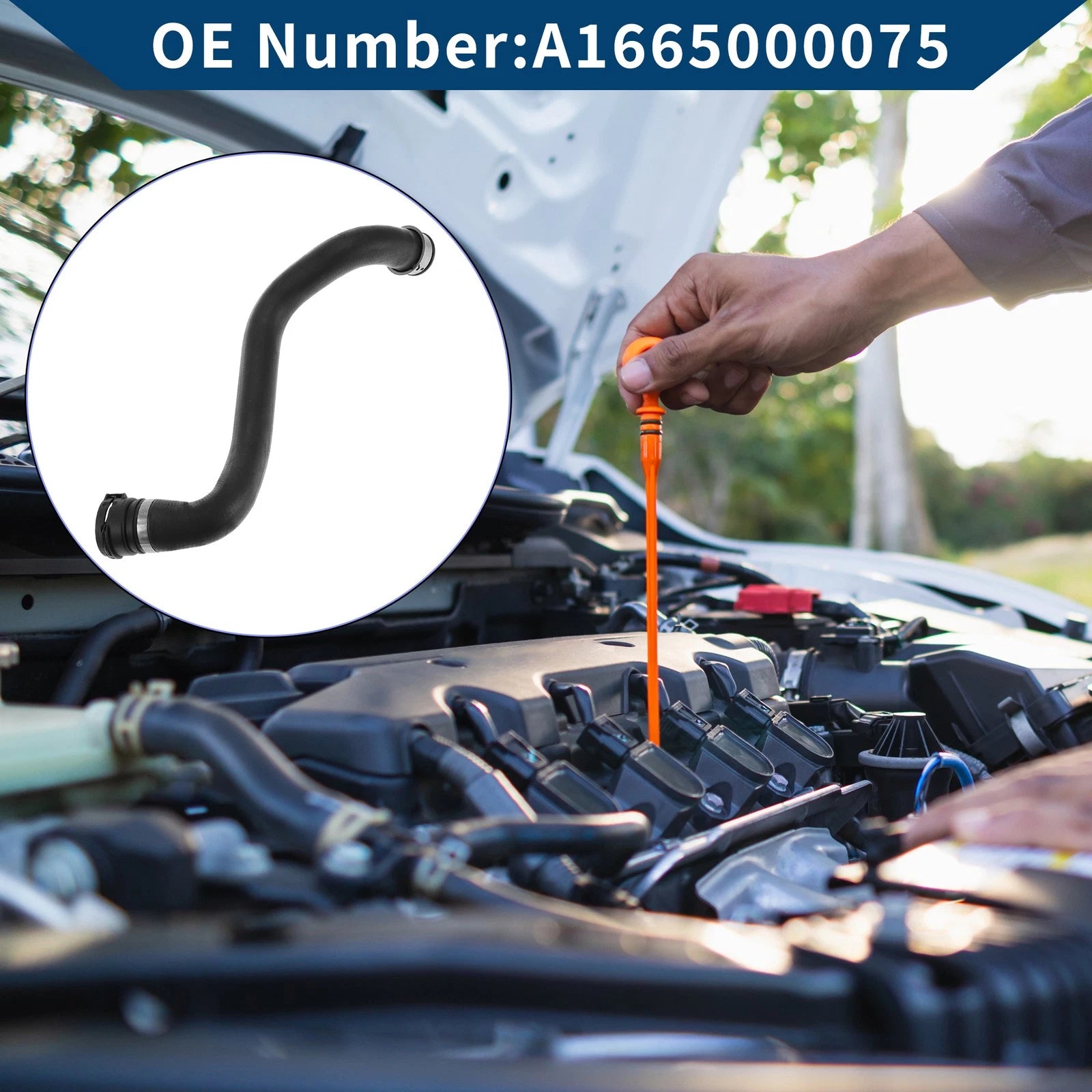 Radiator Hose Replacement for Mercedes-Benz GLS 450 3.0L (2017–2019)