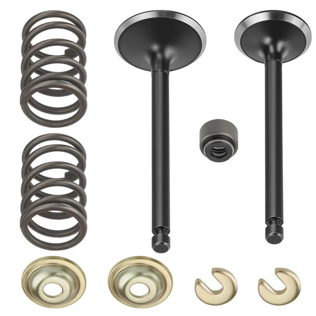 Intake & Exhaust Valve Kit with Springs & Seals for Yamaha Golf Cart G11-G21 (1995–2002)