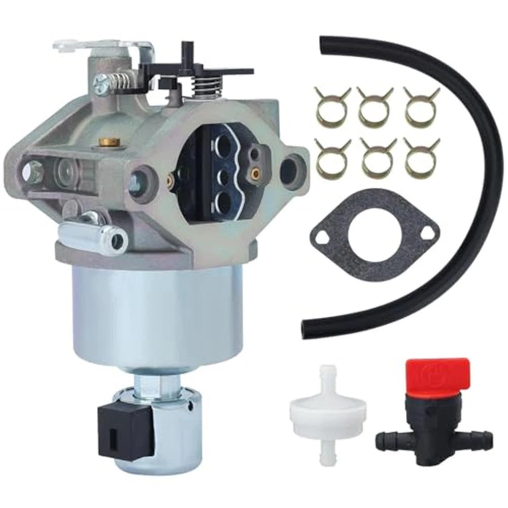 Carburetor Kit for BS Models