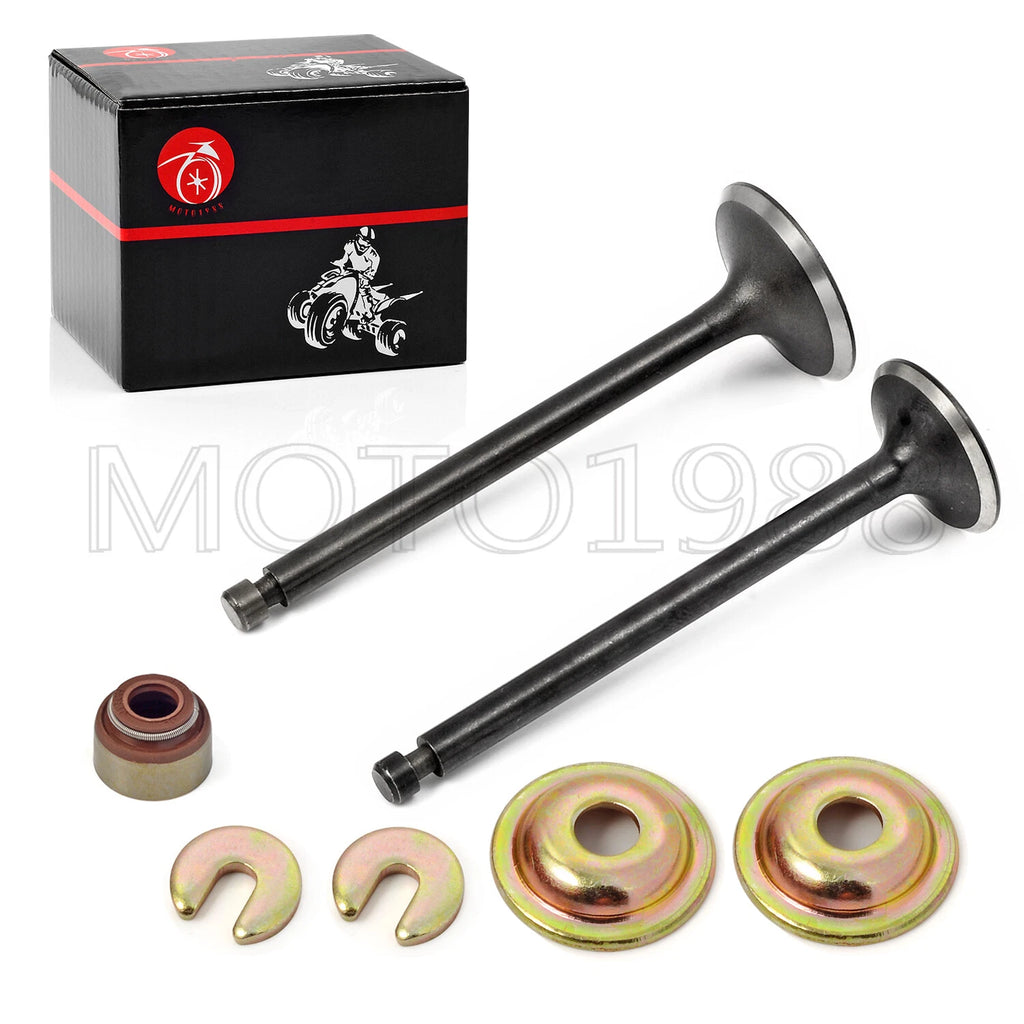 Piston and Ring Assembly for