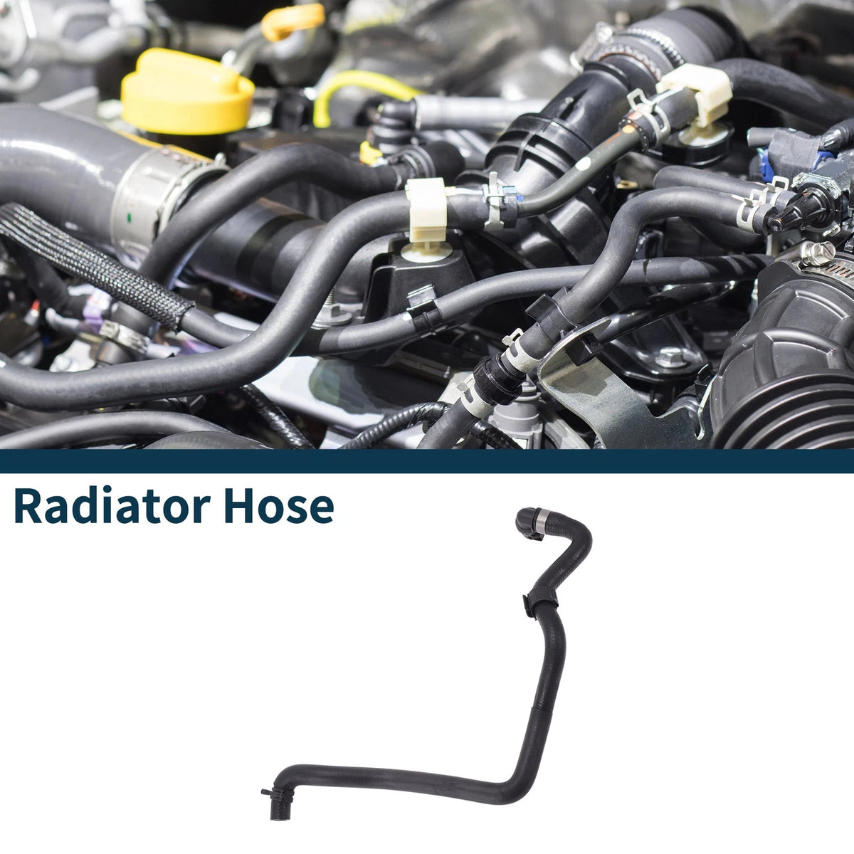 Radiator Hose No.C2P24283 for Jaguar F-TYPE Coupe X152 (2021)