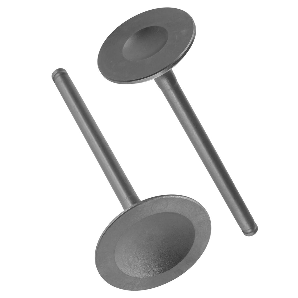 Intake & Exhaust Valve Replacement for Honda TRX420FPA Rancher (2009–2014)