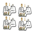 Carburetor Repair Kit for Motorcycle (Compatible with )