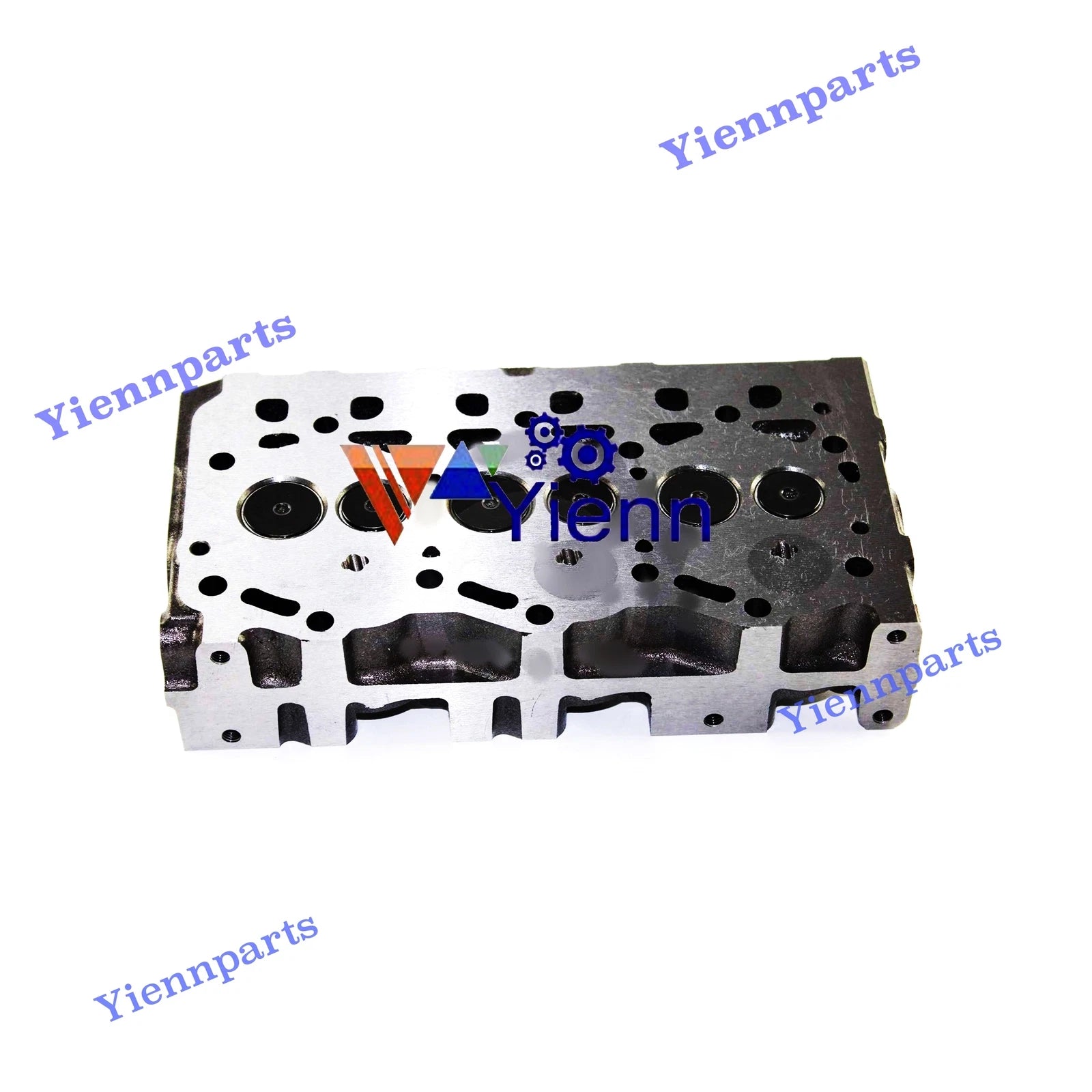 Cylinder Head Complete with Valves for Thermo King Diesel Engine (TK370)