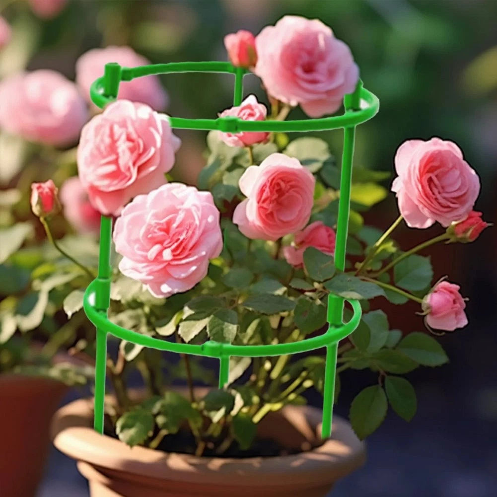 Tomatoes Trellis Cages for Plant Support (2023)