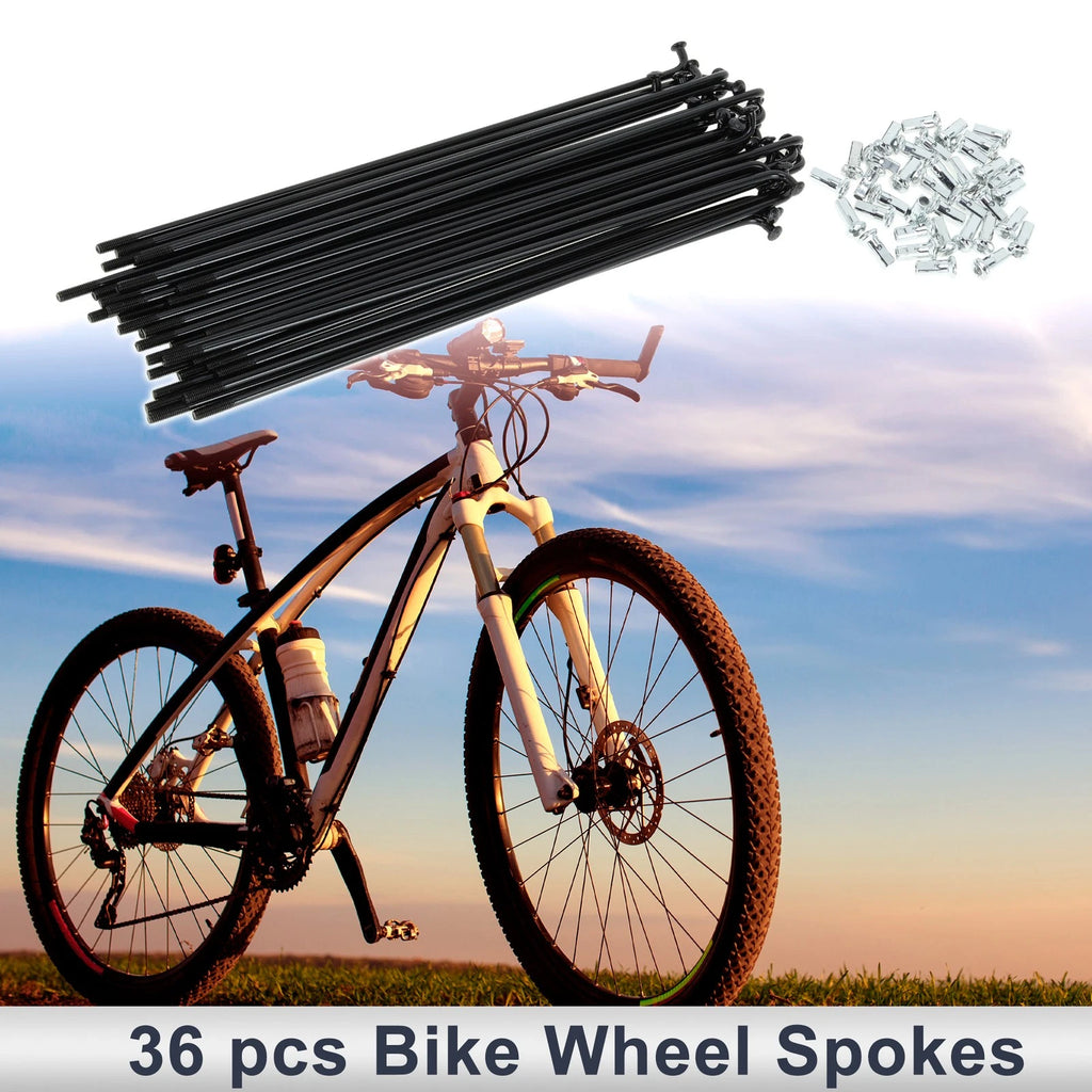 Bicycle Spokes Nipple Set 12G 177mm Carbon Steel for Universal Use (All)