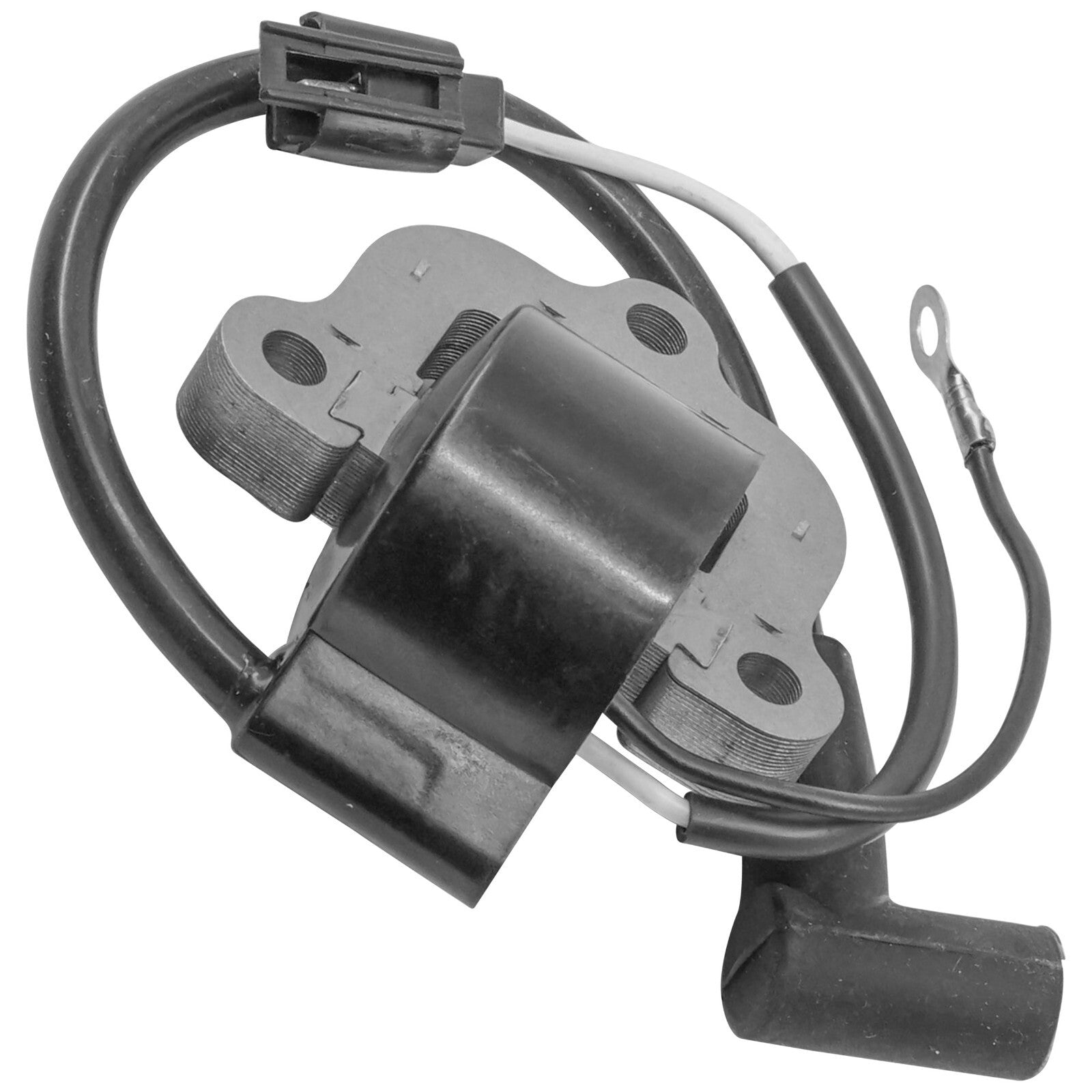 Ignition Coil Replacement for Sierra Evinrude Johnson (1976–1976)