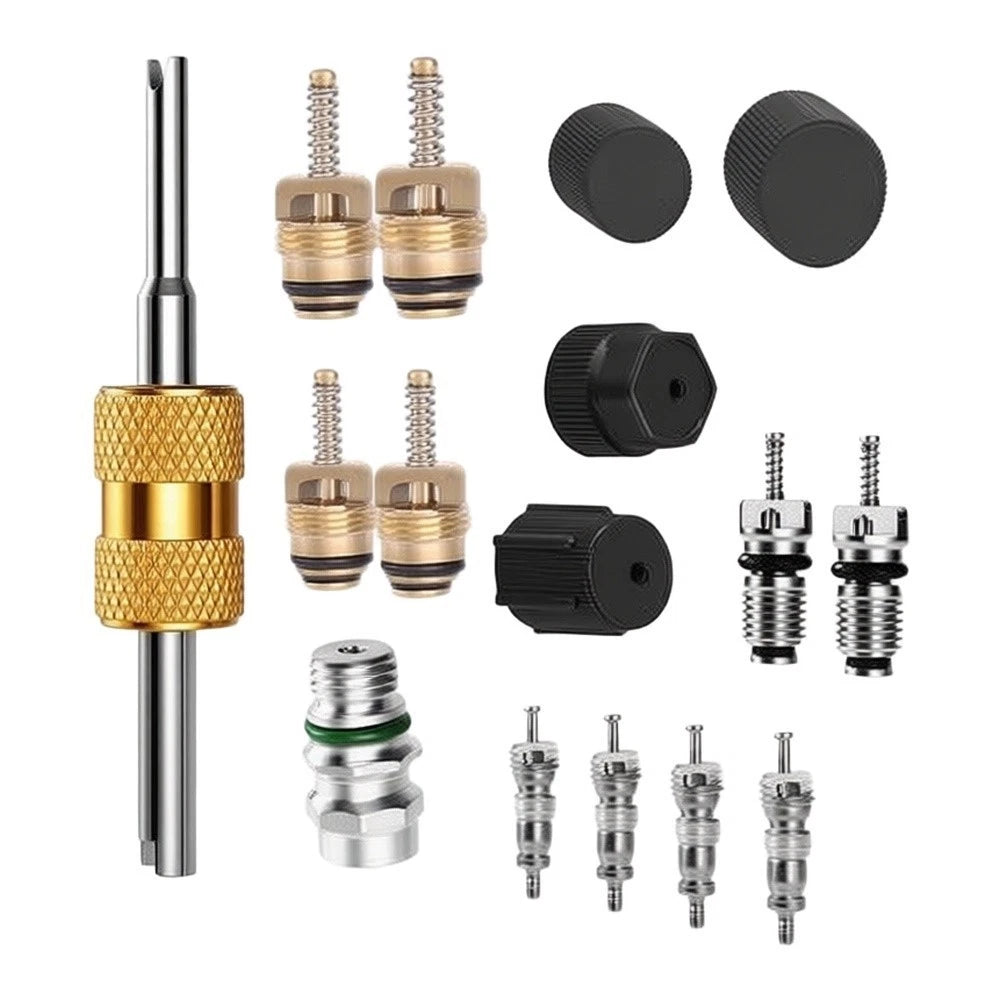 16 Piece AC Valve Insert Kit for HVAC Repair