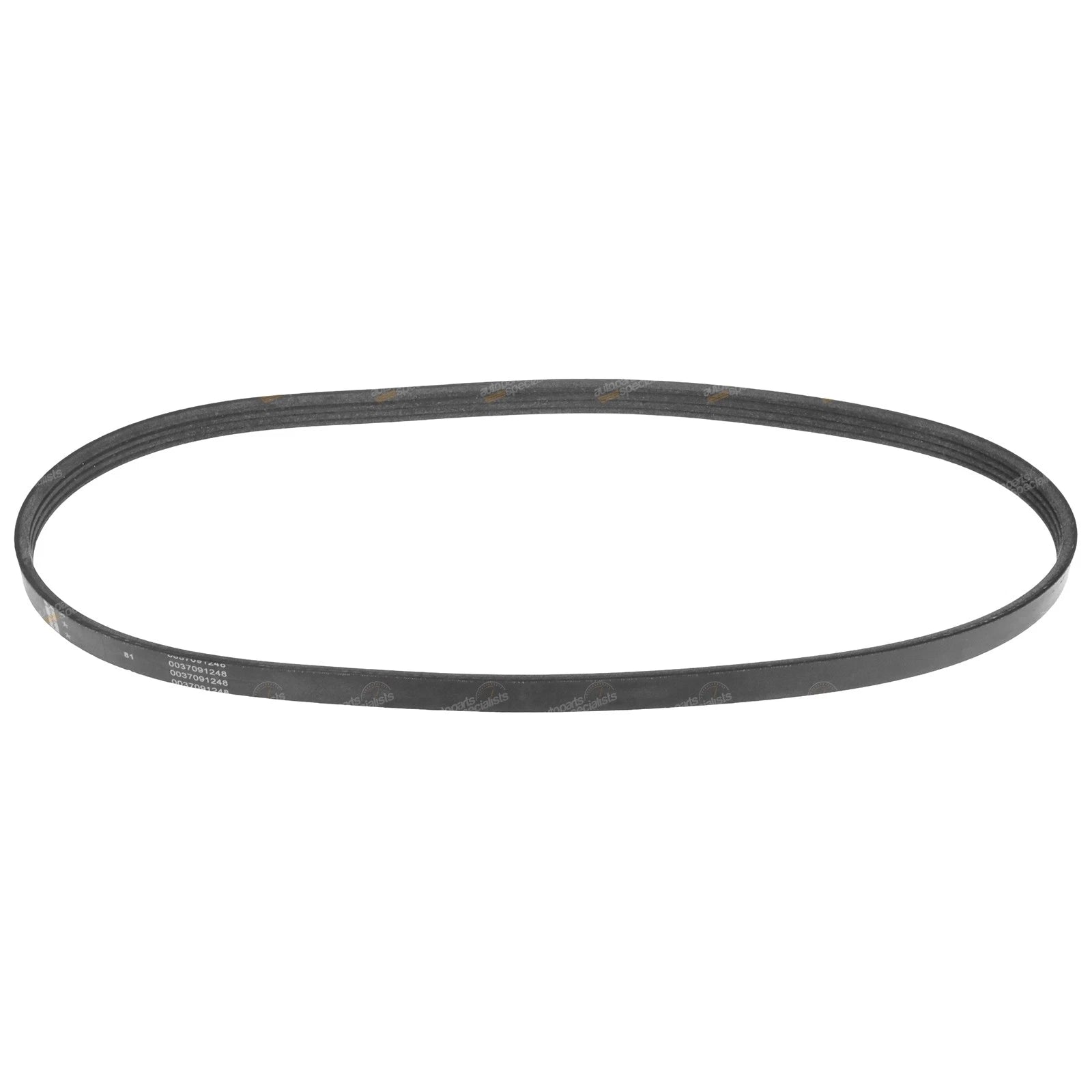 Serpentine Drive Belt for Mazda E2000 2.0L FE (2003–2005)