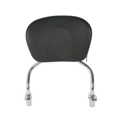 Detachable Sissy Bar Pad Backrest for Harley FLRT FreeWheeler (2015–2025)