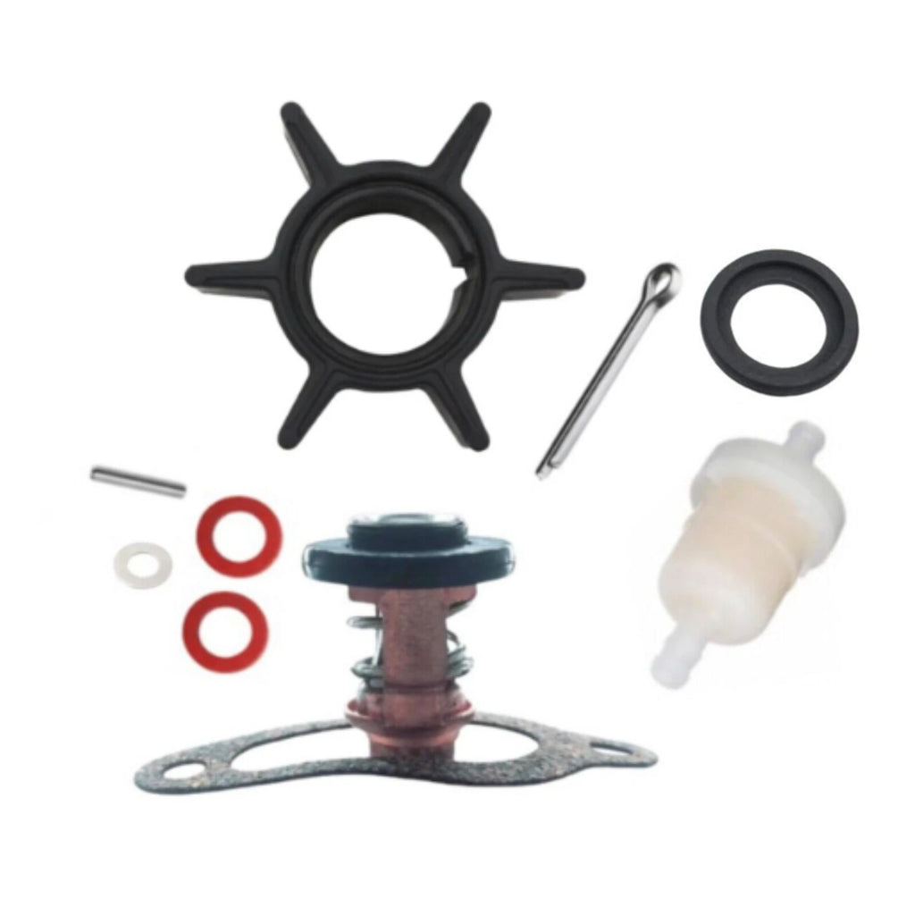 Maintenance Kit for Tohatsu MFS 6BZ 6HP 8HP 9.8HP 9.8B (3V1-87500-0)