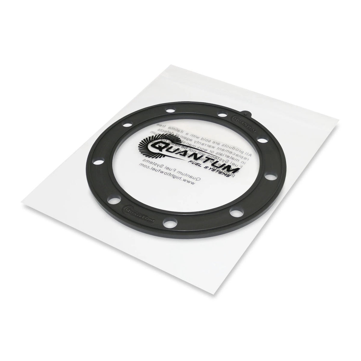 QFS Fuel Pump + Regulator + Gasket + Strainer for Sea-Doo Iceland 220 (2006–2009)