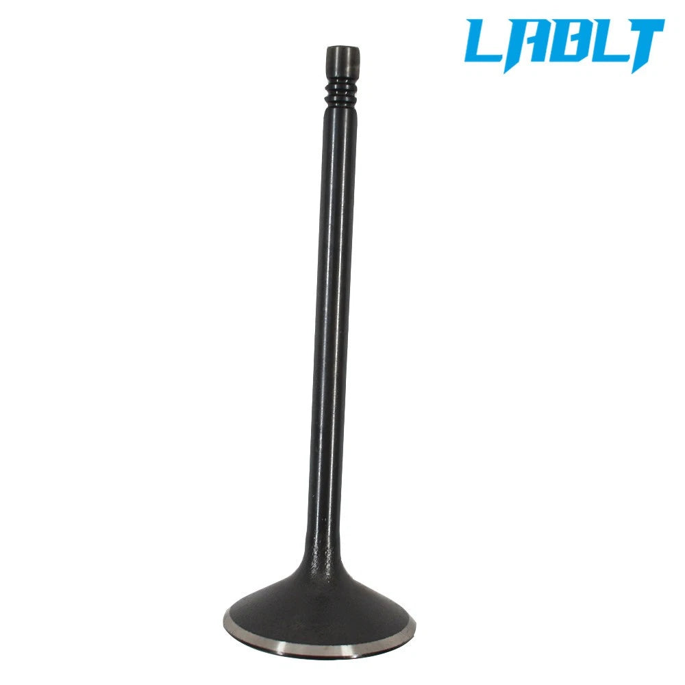 16pcs Intake Exhaust Engine Valves for GM ECOTEC 2.0 2.2 2.4 (2000–2010)