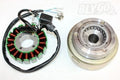 18 Pole Magneto Stator Roller Flywheel for 200cc 250cc Engine ATV (2000–2023)