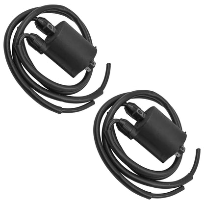Ignition Coil Set of 2 Replacement for Kawasaki Vulcan 1600 Nomad VN1600 (2005–2008)