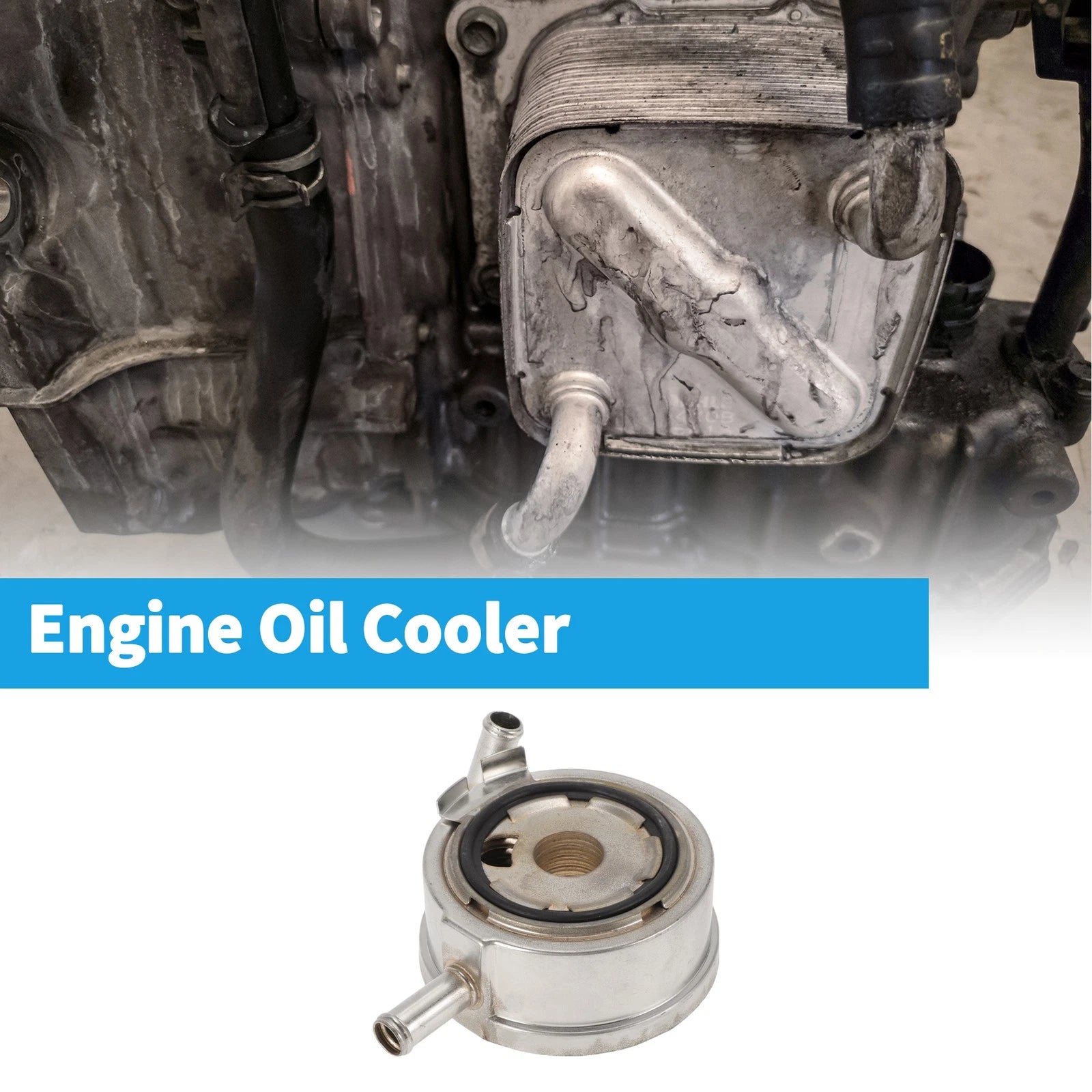 Engine Oil Cooler for Nissan Pathfinder (No. 213059N00A) 1 Pc