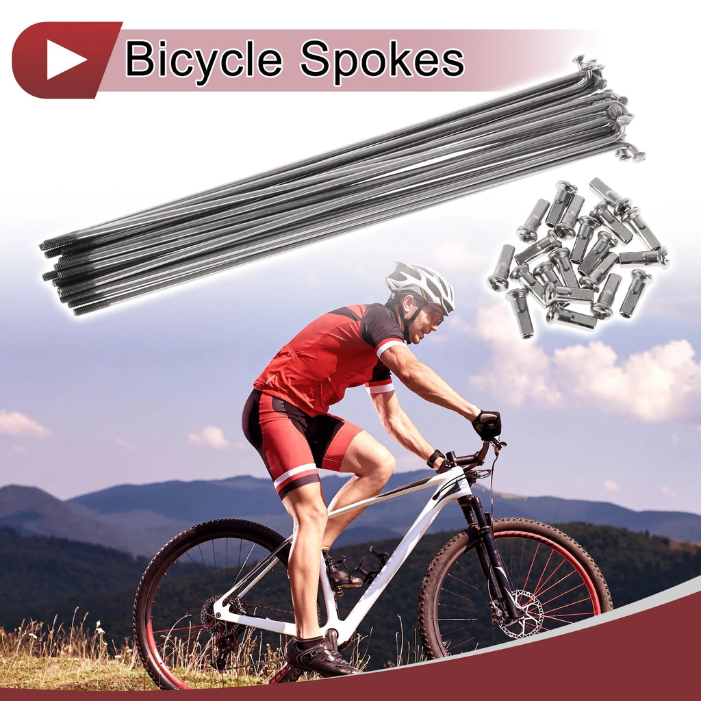 Bicycle Spokes Replacement 169mm 304 Stainless Steel Set for All Bikes (Fits 20)