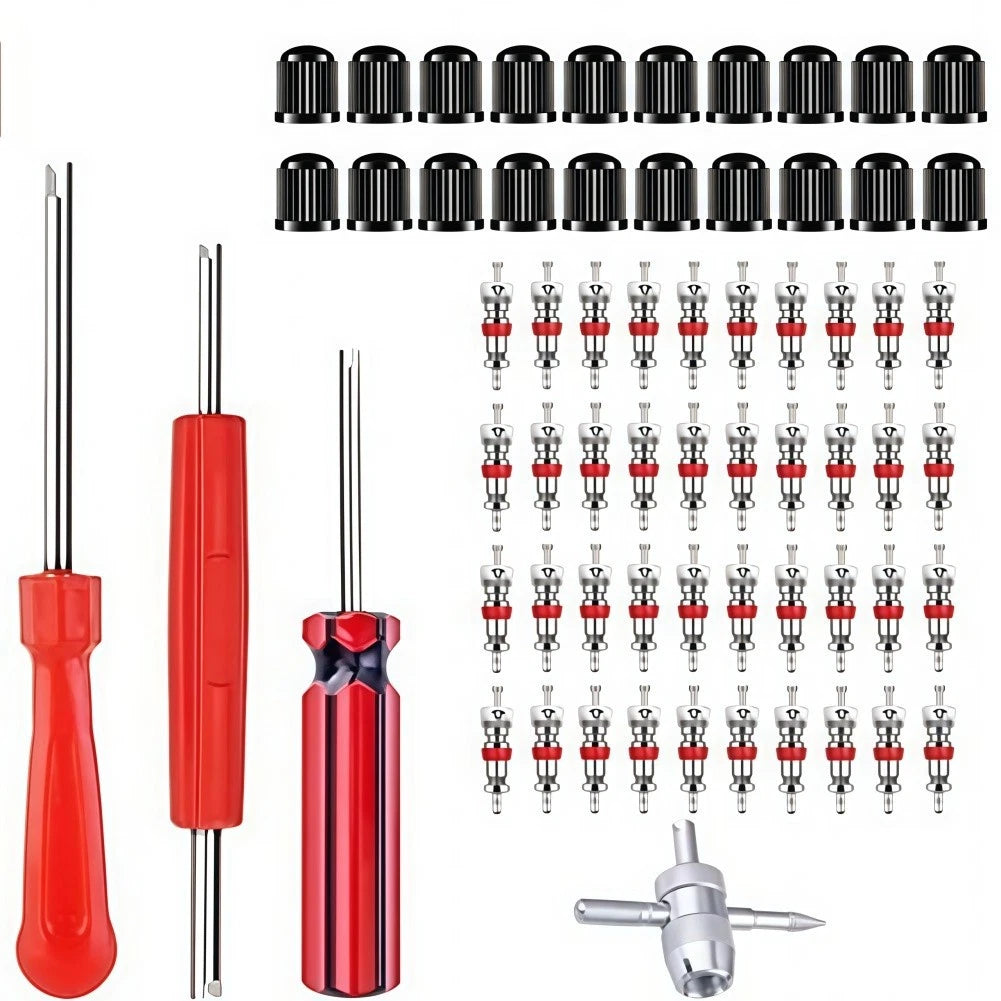 64pcs Tire Valve Core Wrench Set for Universal Use