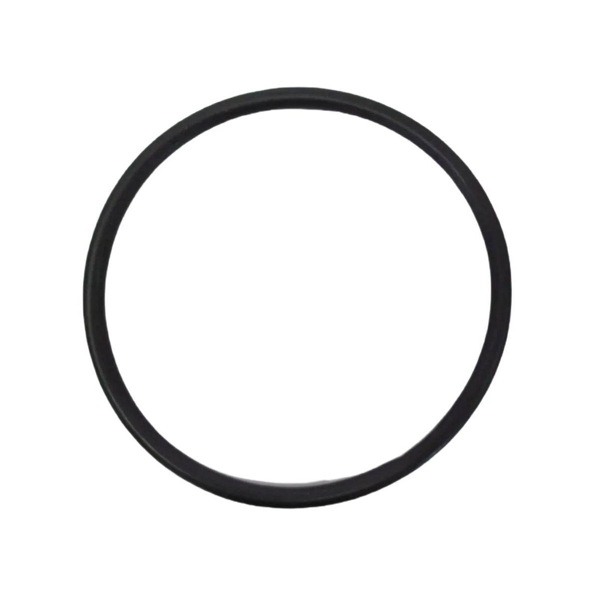 O-Ring 2-Pack for Mercury Marine (25-29976)