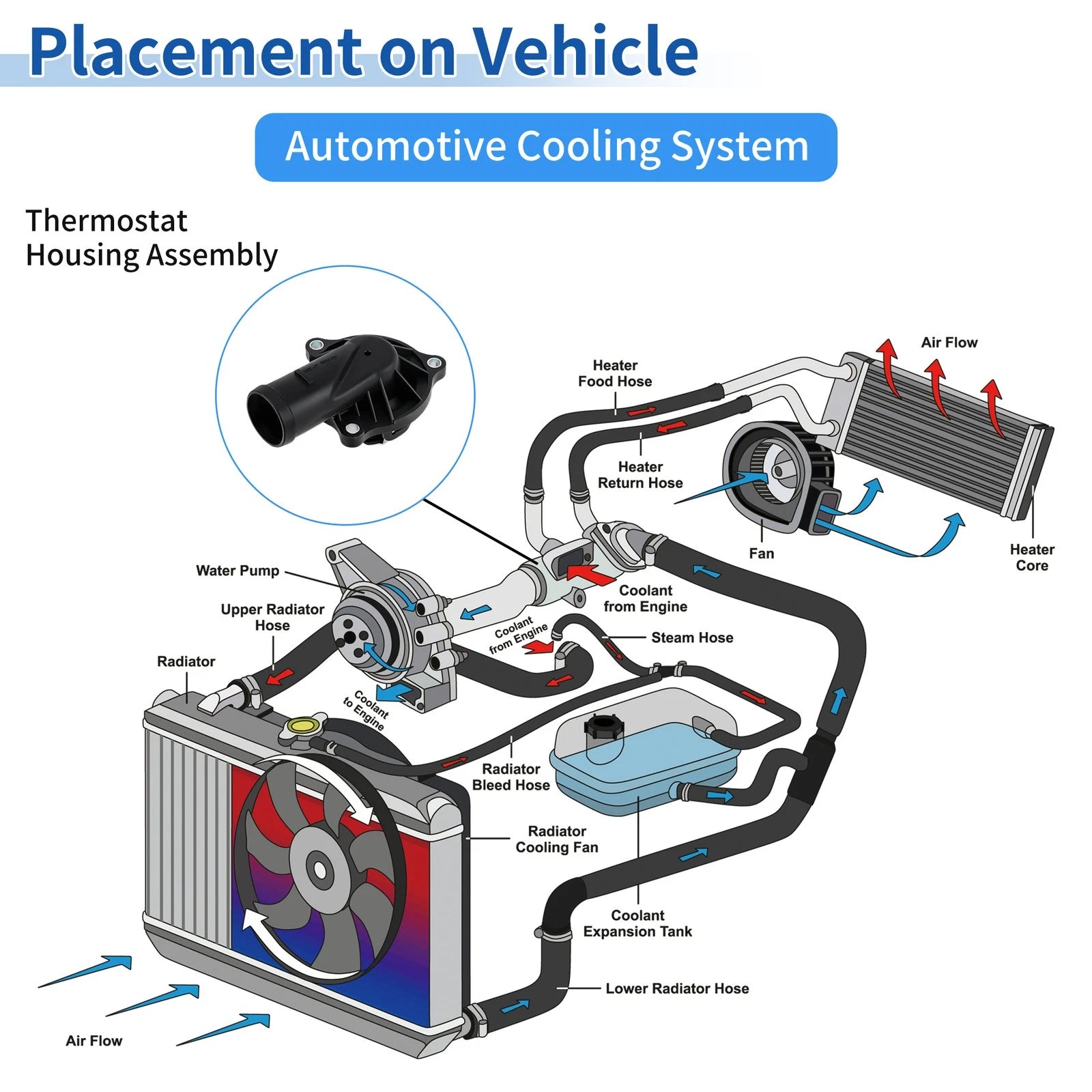 Engine Coolant Thermostat for Audi Q7 V6 3.0L (2009–2015) Replacement