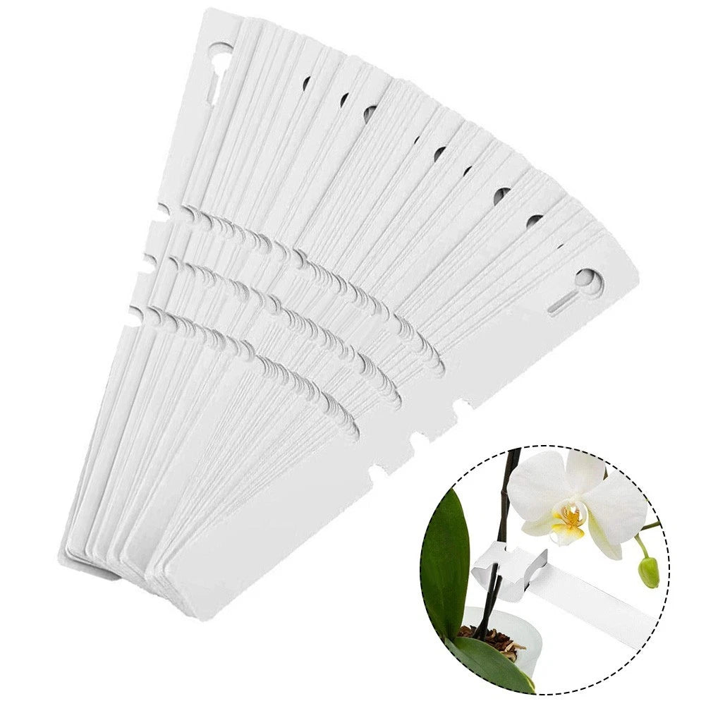 Set of 200 Waterproof Plant Labels for Vegetable Bonsai