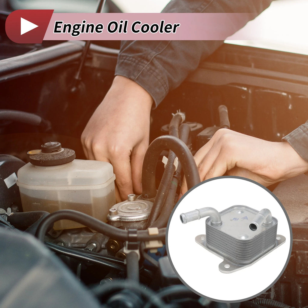 Engine Oil Cooler No. 1240A100 for