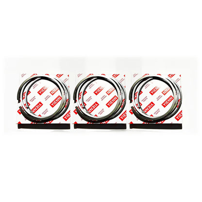 Overhaul Rebuild Kit for Thermo King TK3.95 TK395