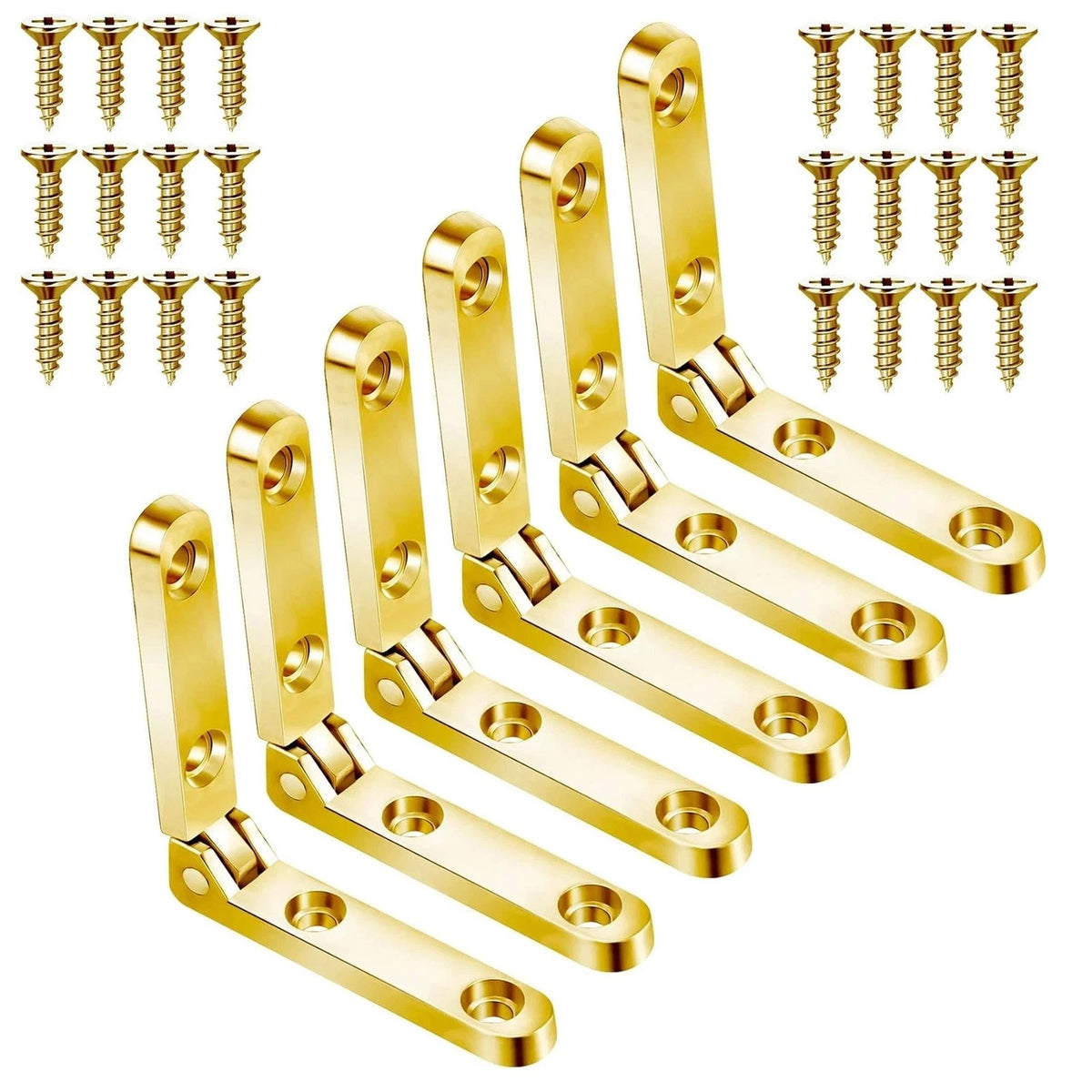 6Pcs Small Hinges with Screws for Jewelry Boxes