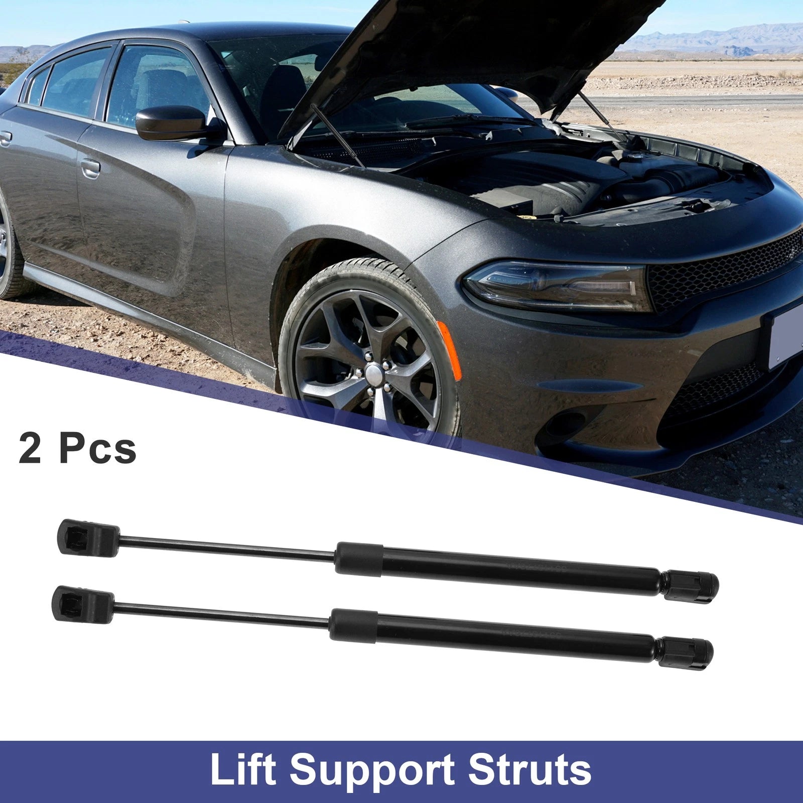 Tailgate Lift Support Struts Gas Spring No. 55113776AA for Chrysler 300 (2005–2010)