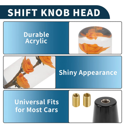 Set of 1 Universal Shift Knob with 2 Adapters for Manual/Automatic Vehicles