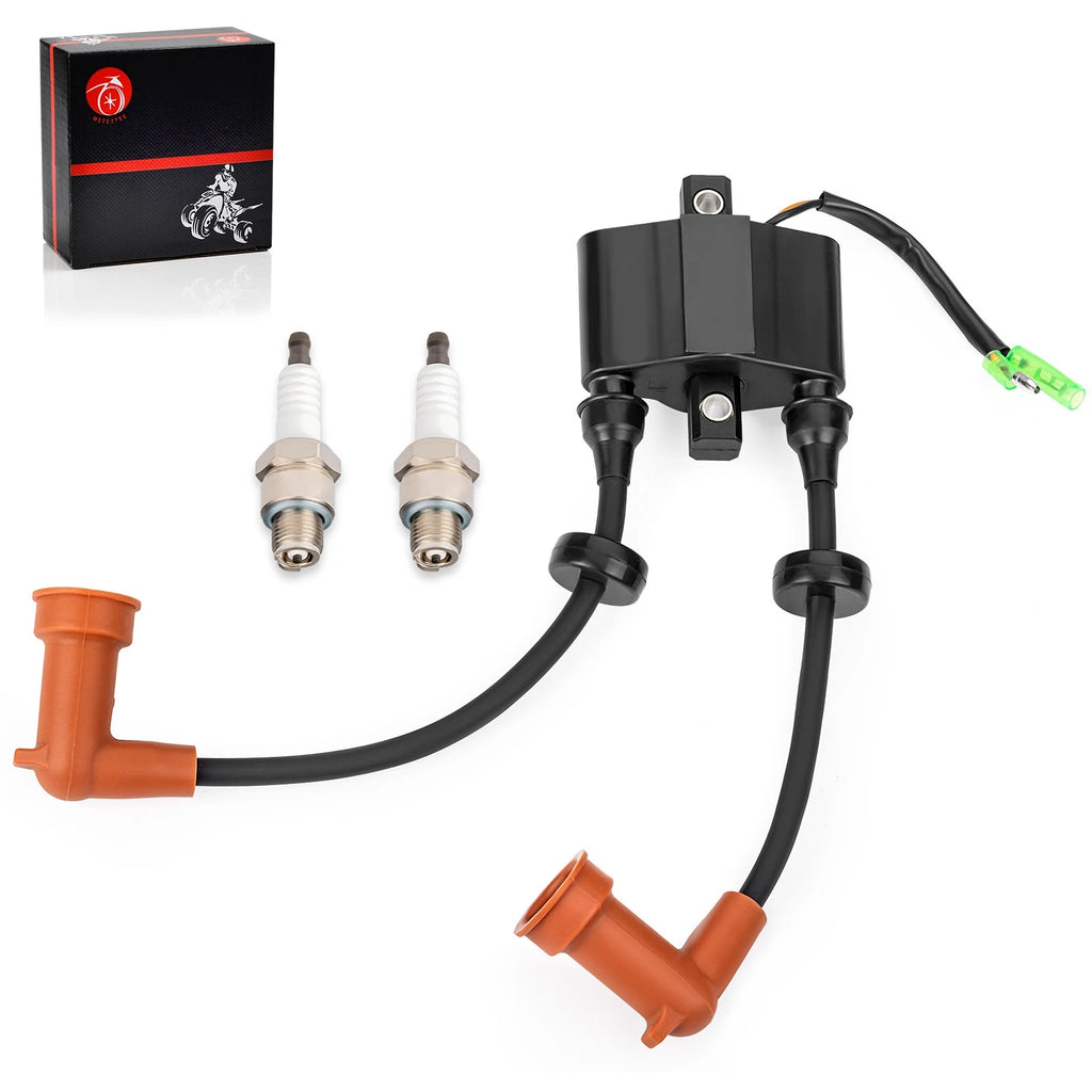 Ignition Coil Spark Plug for Yamaha Outboard F15 F20 F25 T25 (2006–2017)