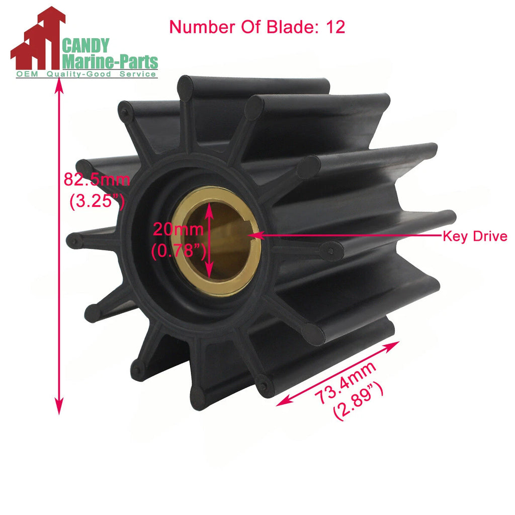 Water Pump Impeller Kit for Jabsco Johnson Sherwood (18958-0001, 17000K)