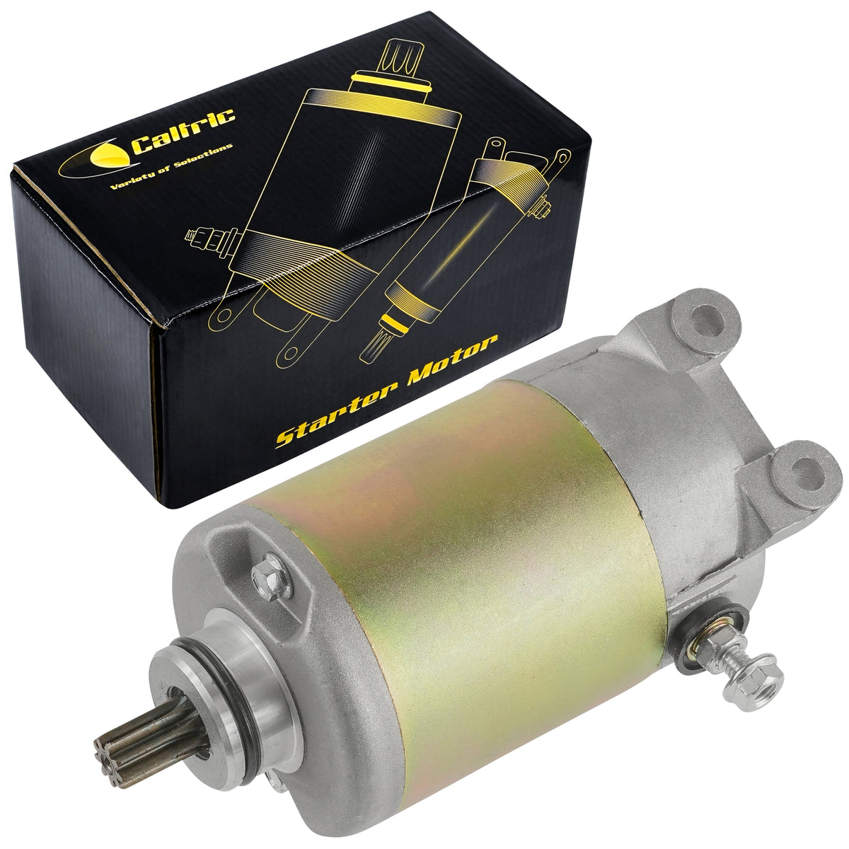 Starter Motor Replacement for Honda CH250 Elite CH250 (1985–1988)