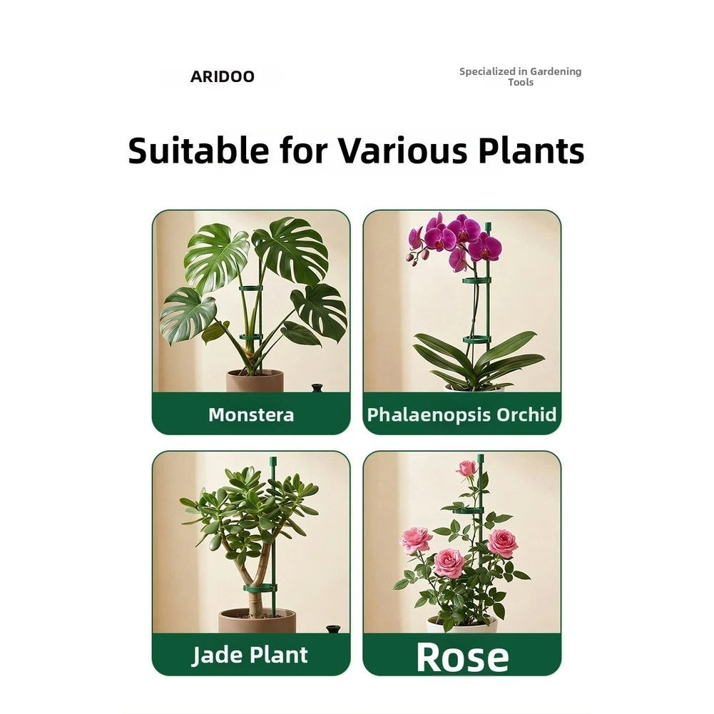 Green Glass Fiber Support Stakes for Monstera Plants (2023)
