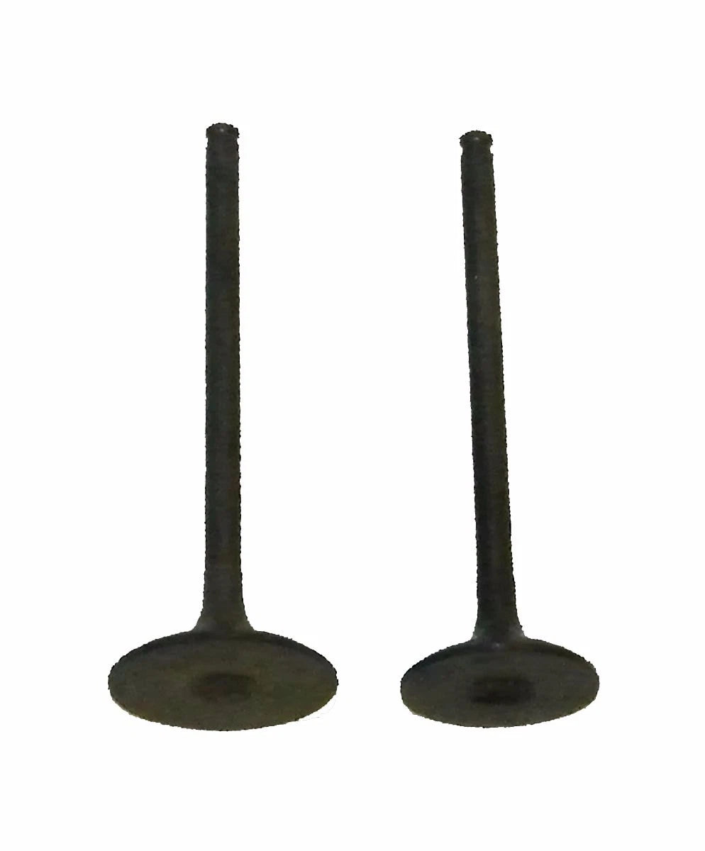 Engine Valve Kit for Honda TRX 250 (1997–2001) 017-021